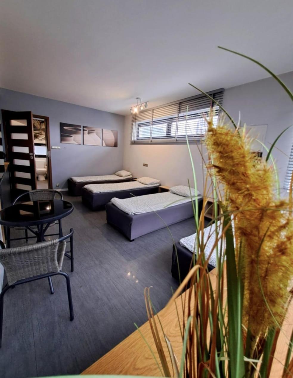 Apartament Studio Piano Плоцк Екстериор снимка